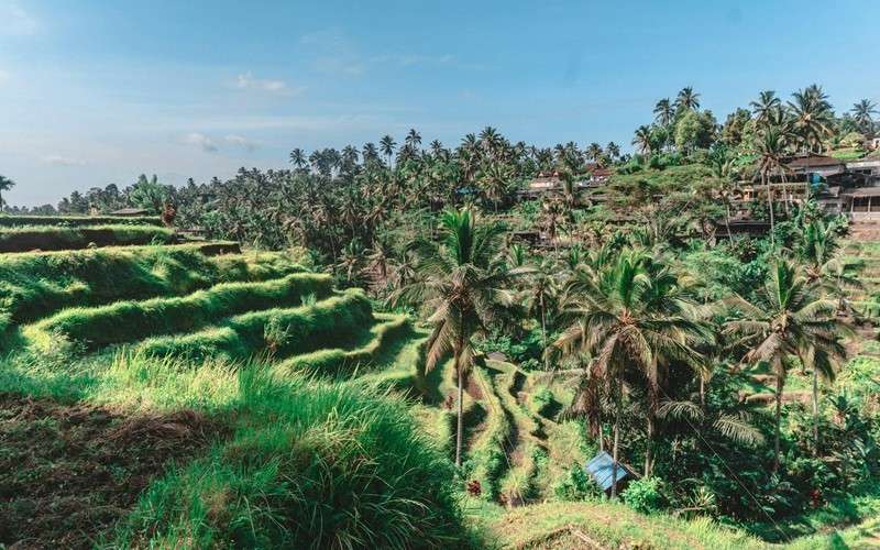 Guardians of Bali eco travel buzzintrips blog